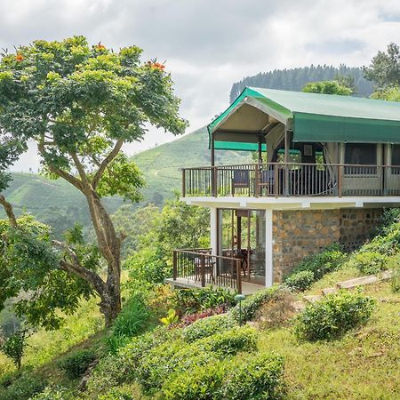 Madulkelle Tea And Eco Lodge Kandy Extérieur photo