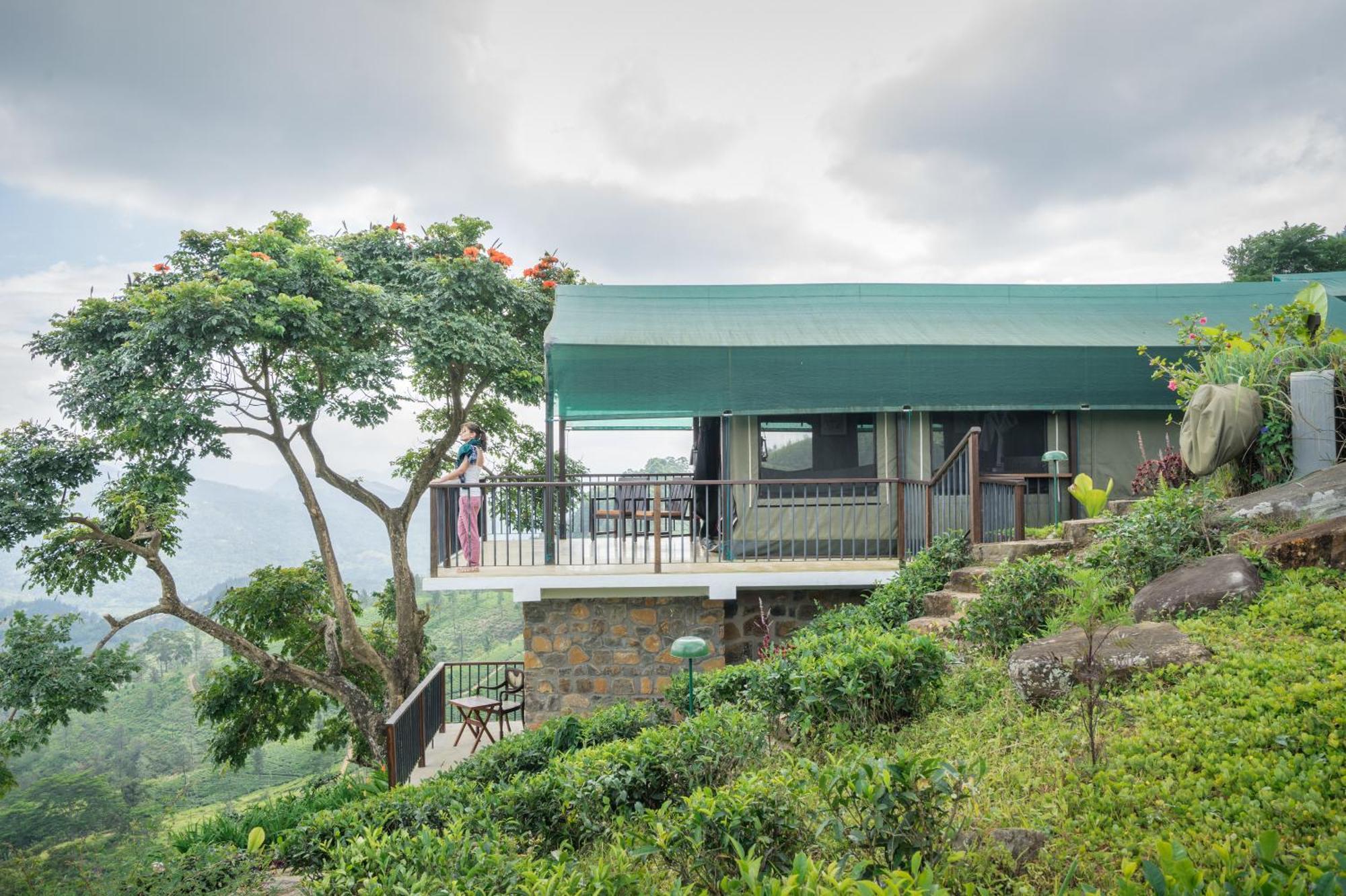 Madulkelle Tea And Eco Lodge Kandy Extérieur photo