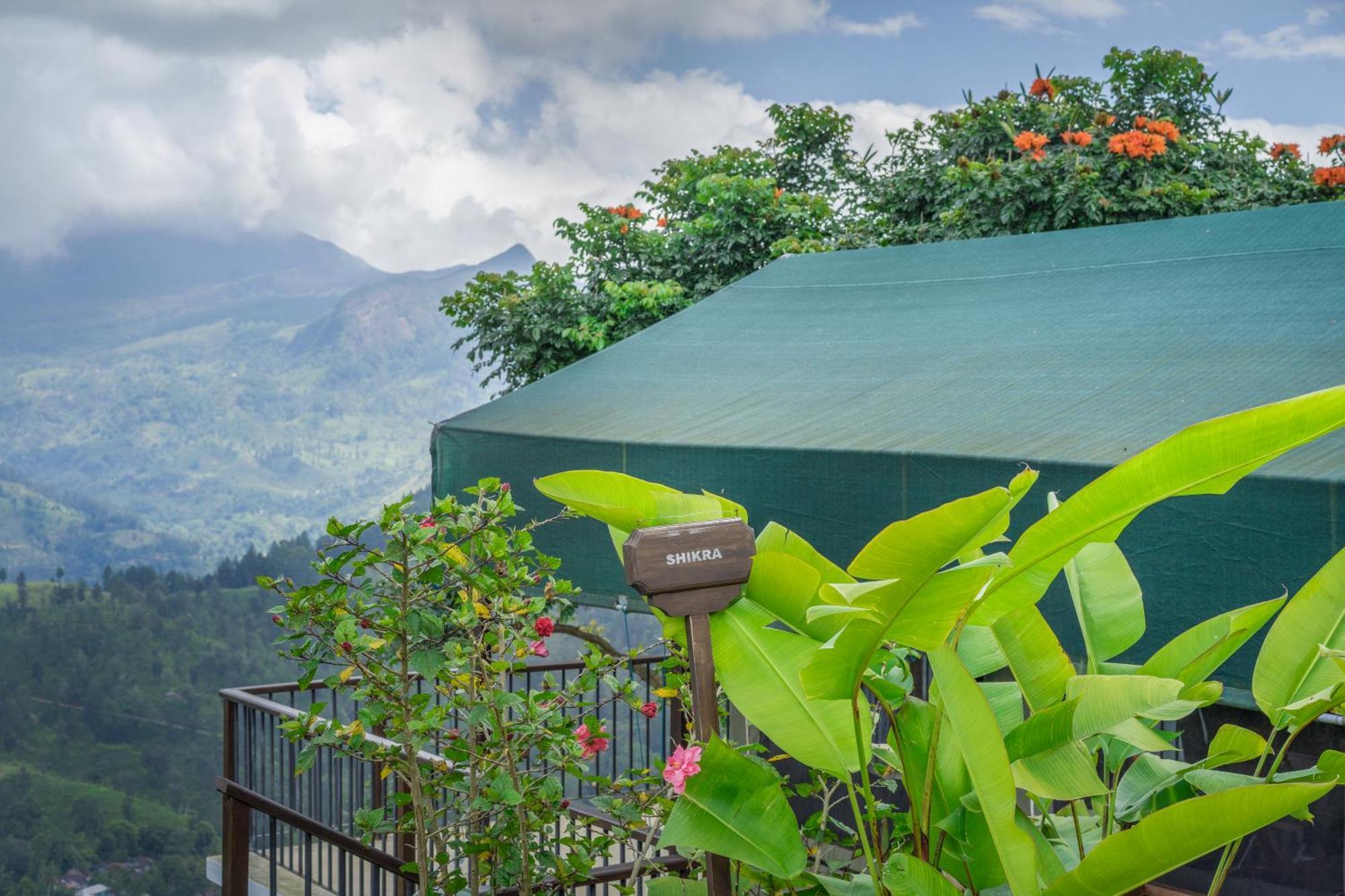 Madulkelle Tea And Eco Lodge Kandy Extérieur photo