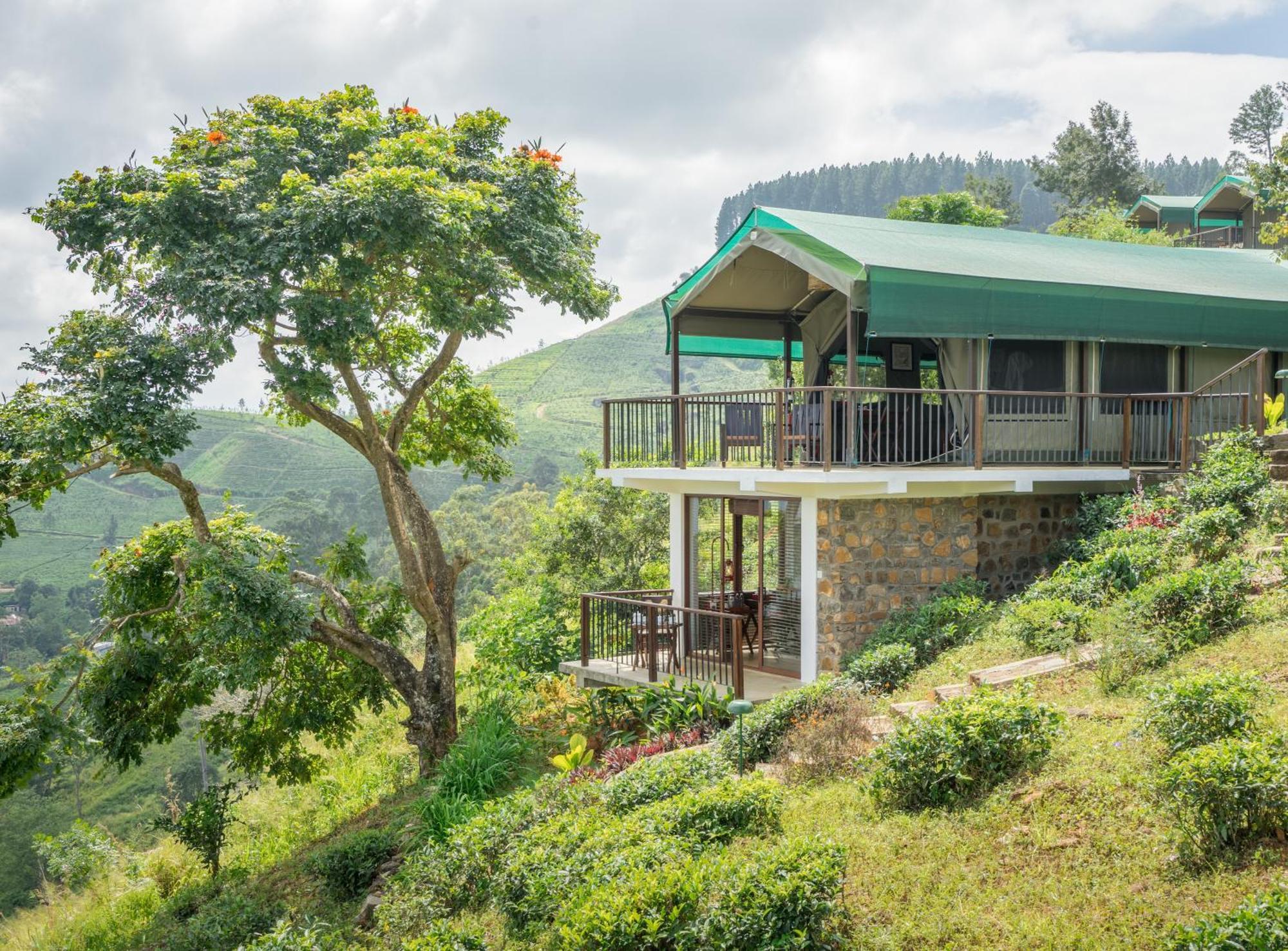 Madulkelle Tea And Eco Lodge Kandy Extérieur photo