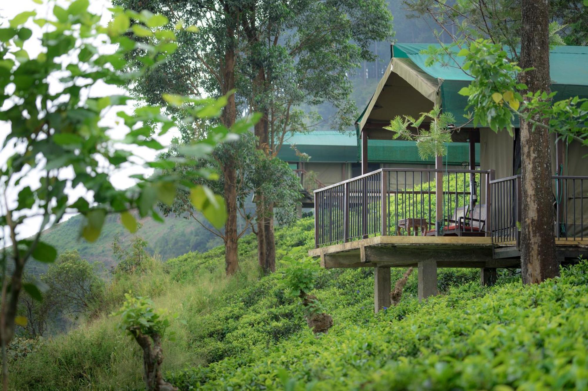 Madulkelle Tea And Eco Lodge Kandy Extérieur photo