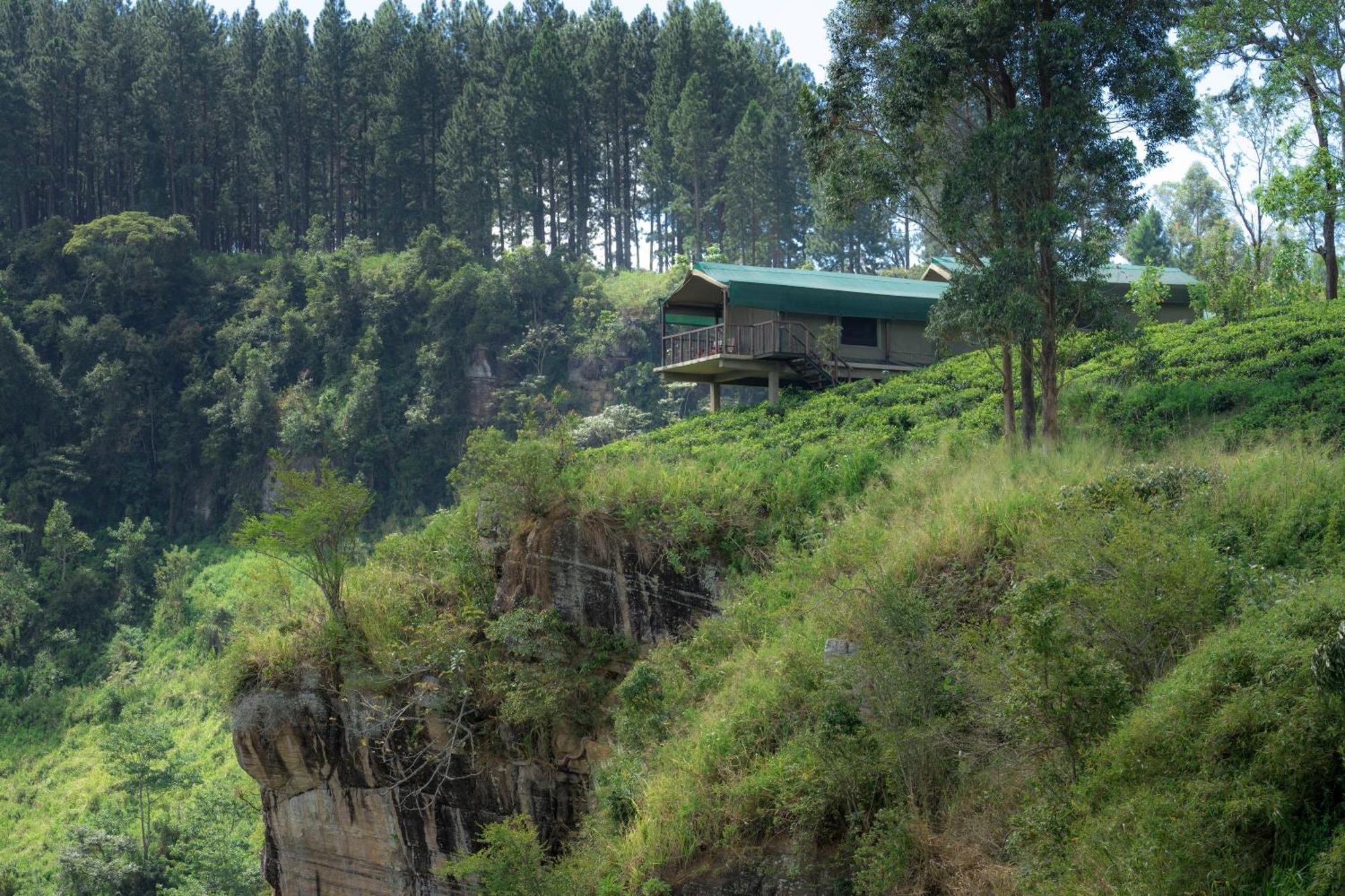 Madulkelle Tea And Eco Lodge Kandy Extérieur photo