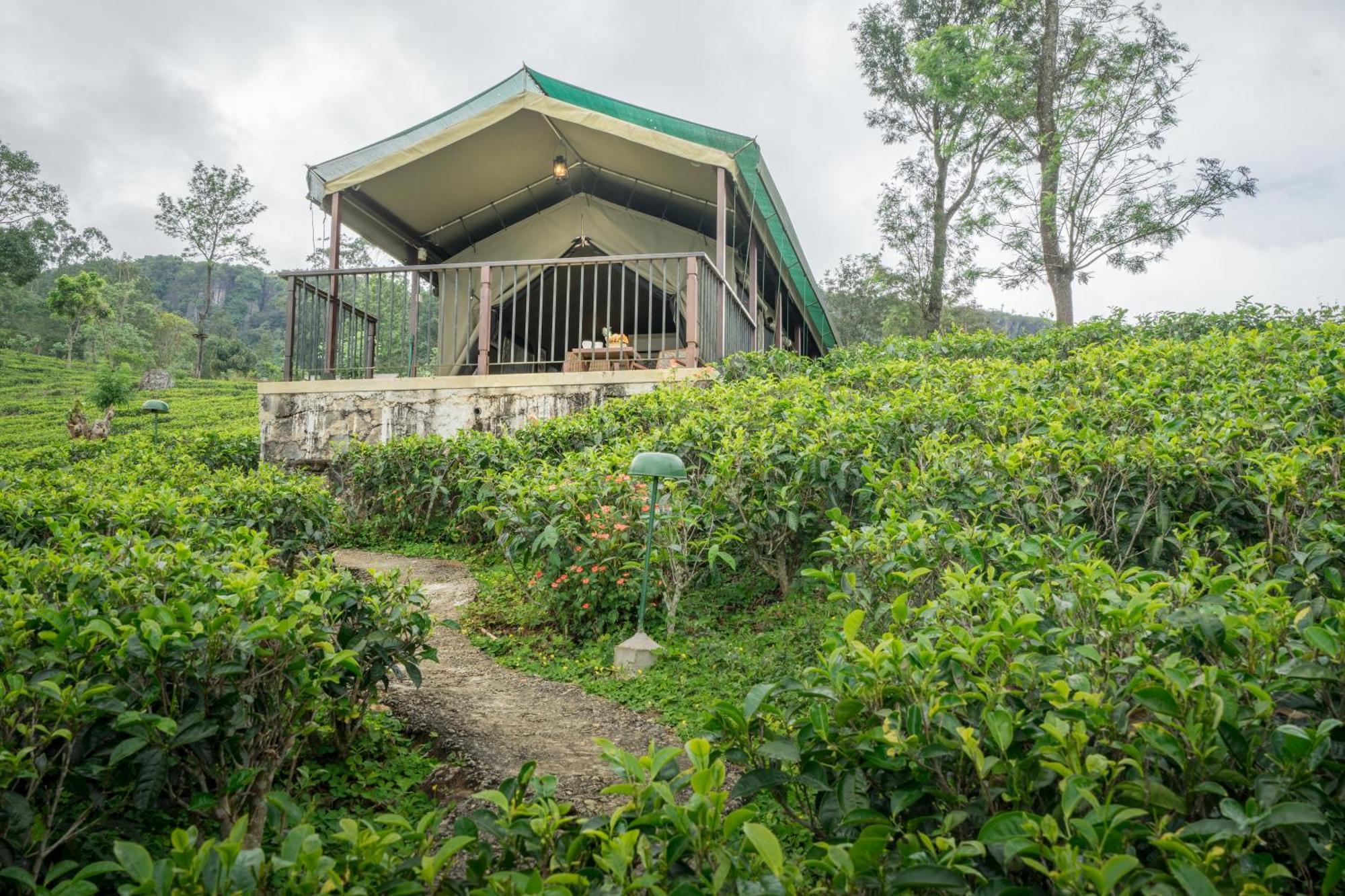 Madulkelle Tea And Eco Lodge Kandy Extérieur photo