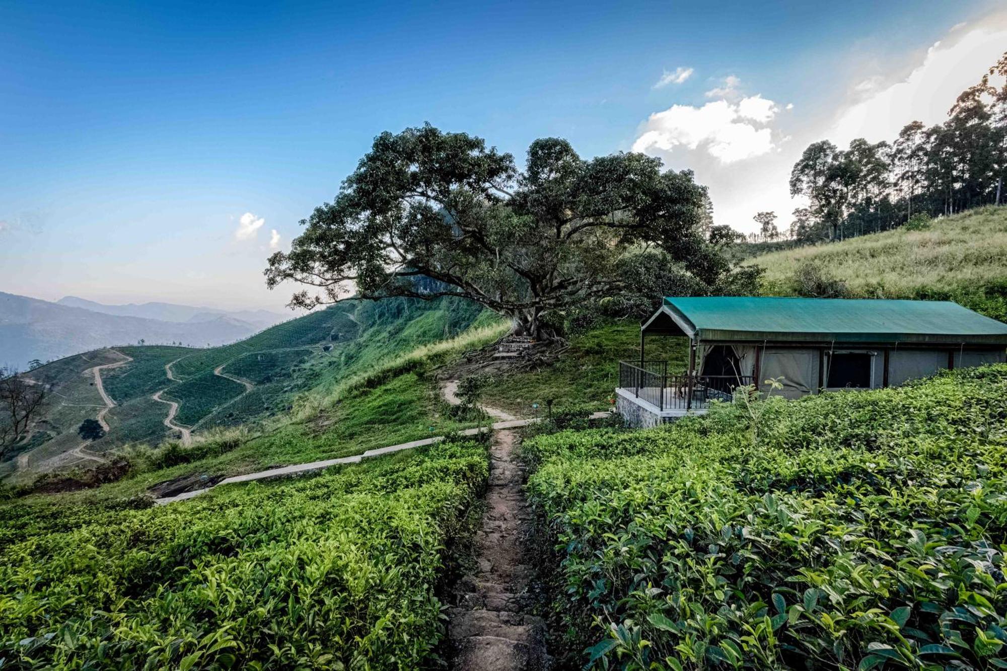 Madulkelle Tea And Eco Lodge Kandy Extérieur photo