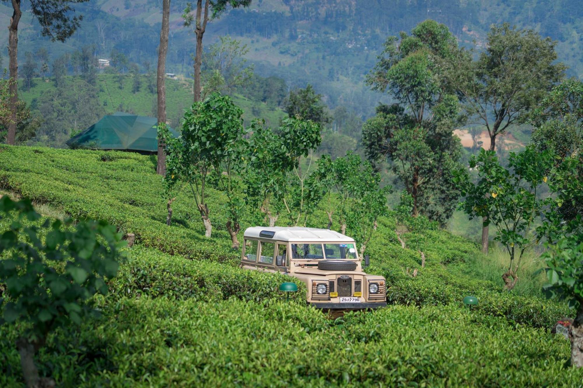 Madulkelle Tea And Eco Lodge Kandy Extérieur photo